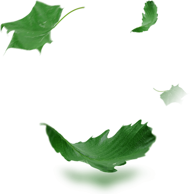 Isıyak Kömür Çevre Dostu